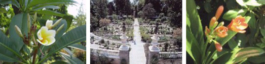 Itálie - botanická zahrada v Padově